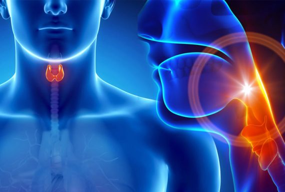 Endocrinologie